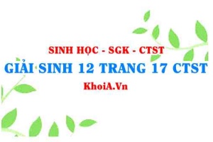 Giải Sinh 12 trang 17 Chân trời Sáng tạo